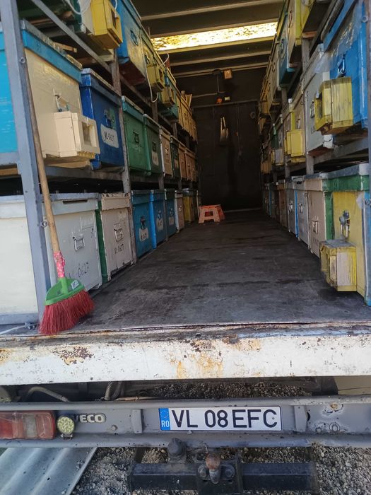 Vânzare camion omologat apicol 7,5tone