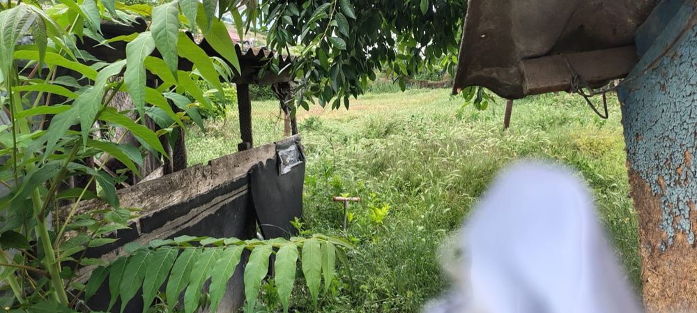 OFERTĂ – Casă + teren mare în Mahmudia (Tulcea) | 50.000€ negociabil