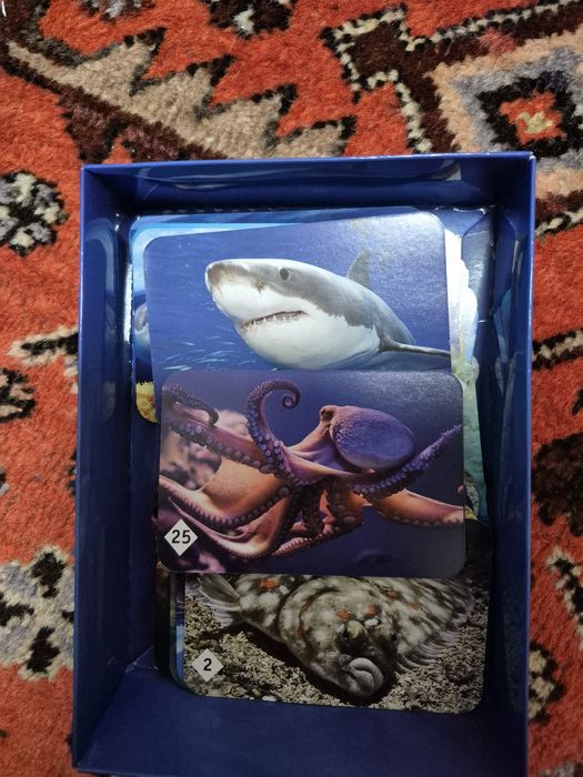 Развивающие ишрушки