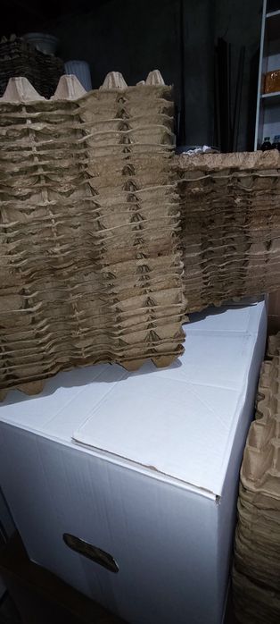 Лотки для яиц по 10 тенге