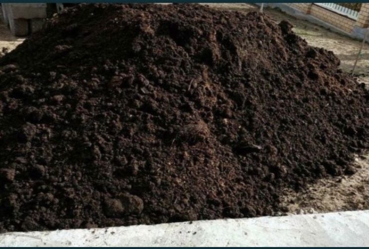 Навоз перегной,таза шіріген көң сатамыз