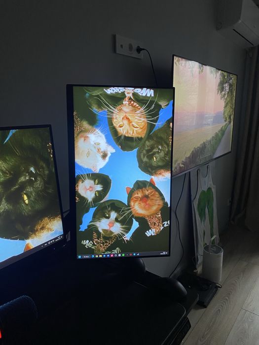 Мониторы thunderobot и xiaomi