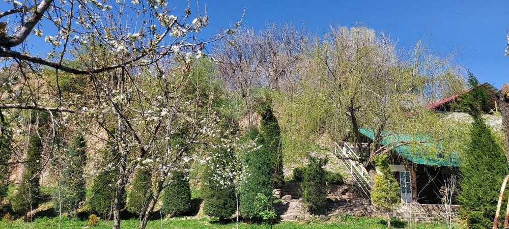 СРОЧНО! Продается СВОЯ дача