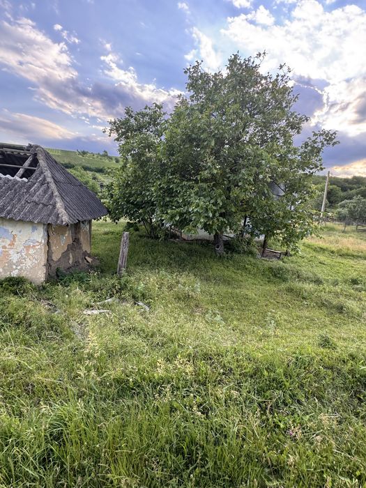 Teren Coarnele Caprei 6000 mp posibila parcelare