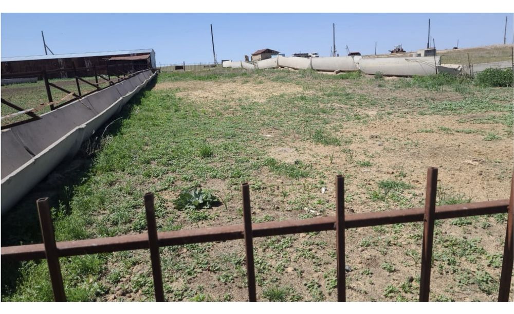 Фазенда крестянское хозяйство кашар