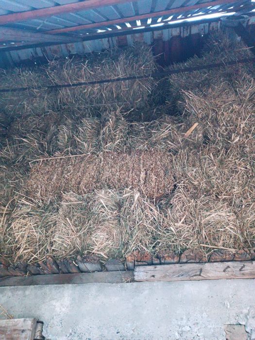 Продам сено в тюках