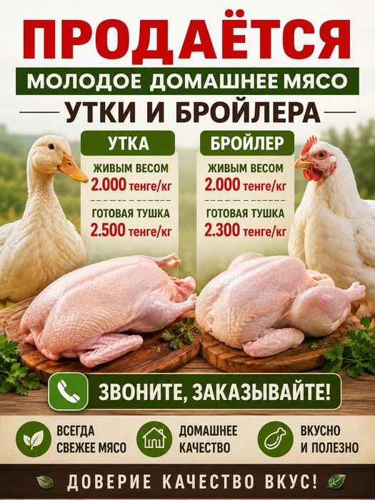 Продаётся домашнее мясо утки и бройлера.