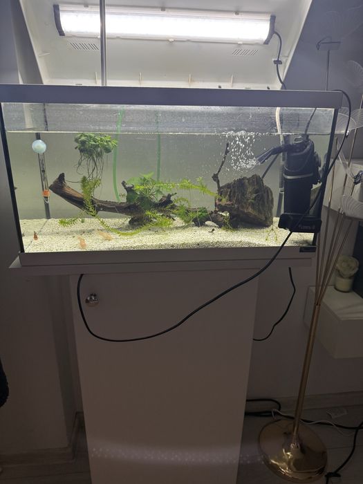 Vand acvariu pesti +dulap