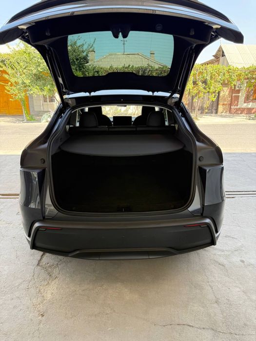 Tesla medel Y juniper