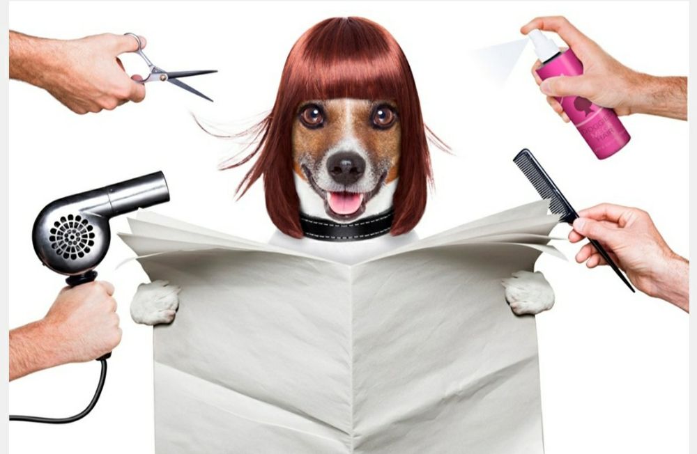 Стрижка собачек и кошечек