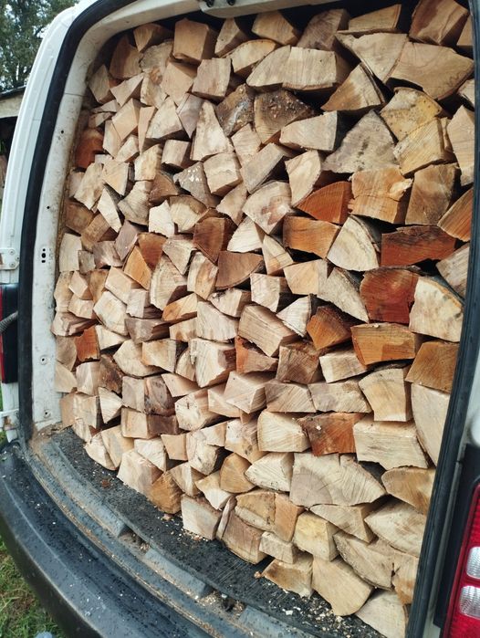 Lemne de foc fag capete uscate sau verzi 600.lei tona