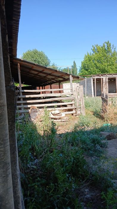 Продаётся дом с участком