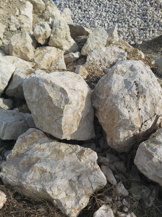Nisip, piatra drena, pamant negru vegetal de padure, gazon, gradina