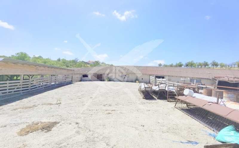 Къща със собствена ферма в село Дрянковец 52575