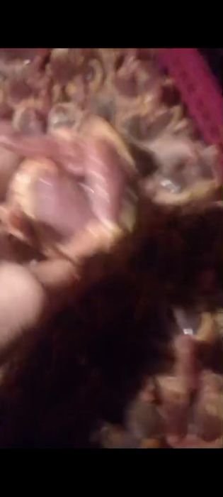 Жабаиы тау кептері