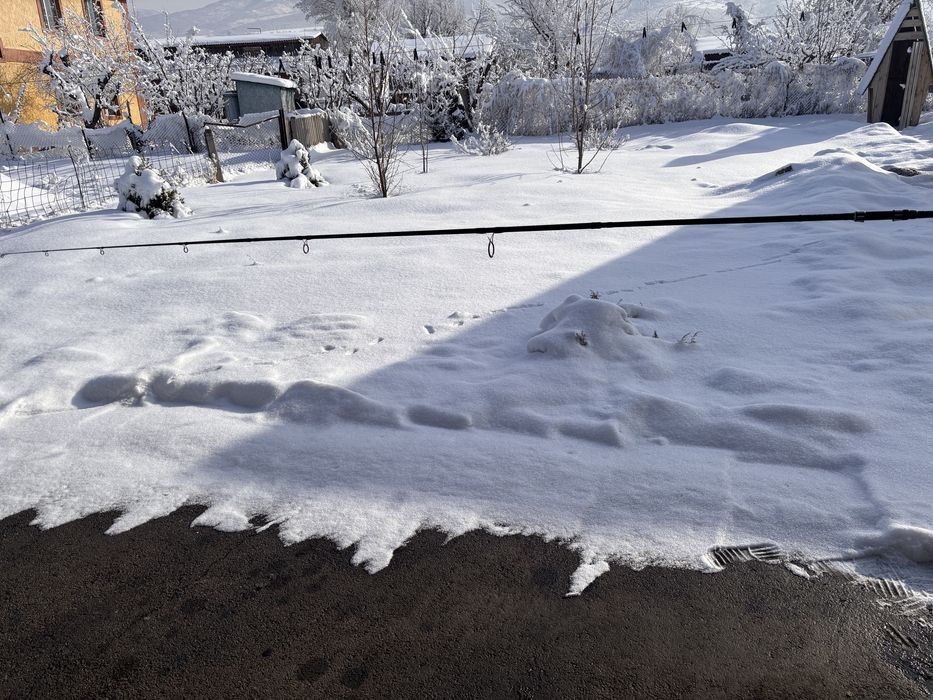 Kaida golden carp 390 3lbs