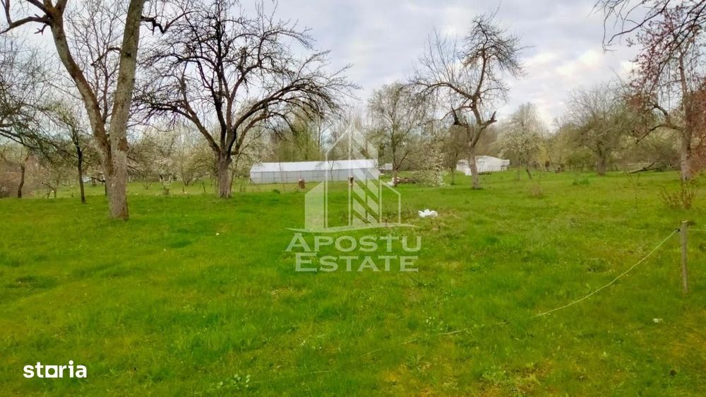 Teren Intravilan Magulicea - Zona Varfurile