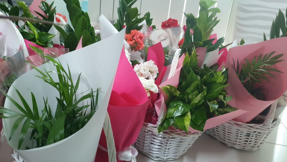 Тірі гүлдер. Живие цветы