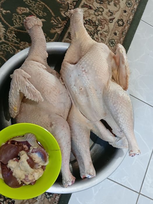 Продам индюков кг3000тг