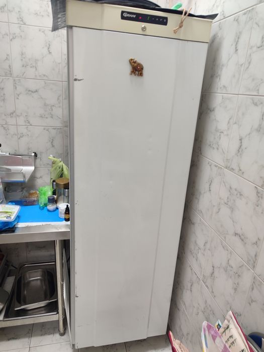 Хладилник професионален