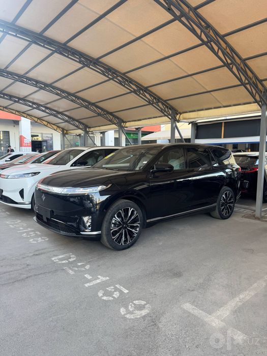 dongfeng 008 elektro 610 km