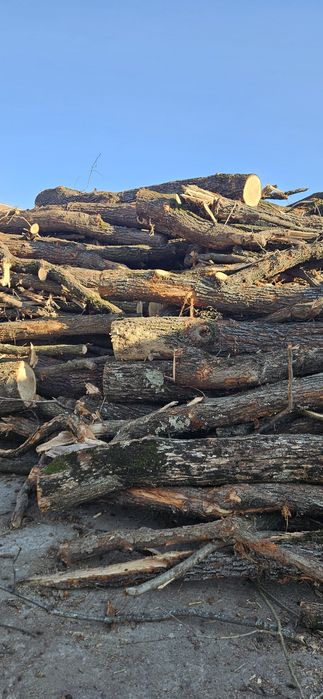 Vând  lemn de foc din stejar