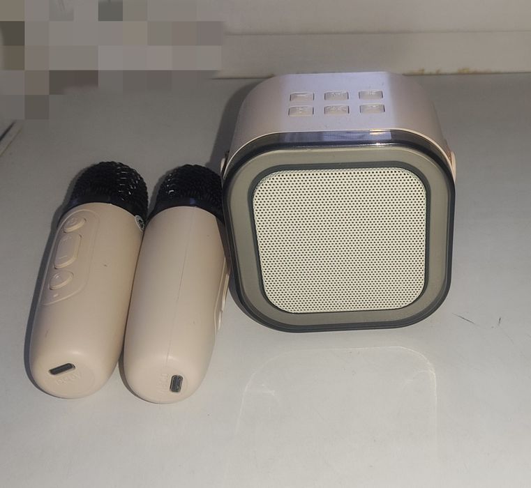 Продам блютуз колонку с микрофонами.