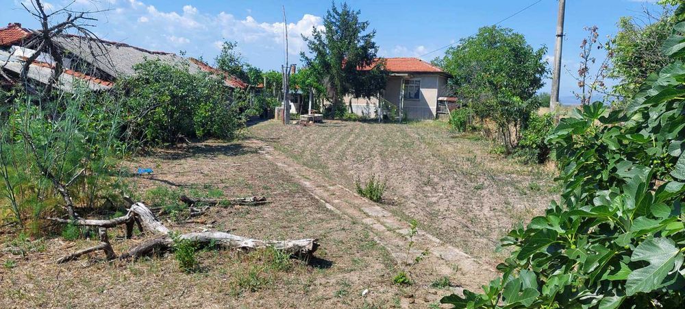 Продава се: Едноетажна къща със ЗП 57 кв.м, с двор 803 кв.м, в село Ръжево Конаре