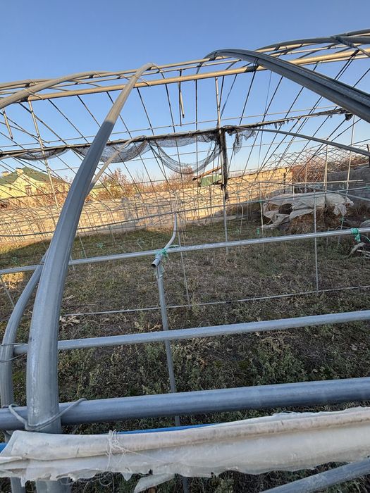 Теплица 2009г Асар микрорайон