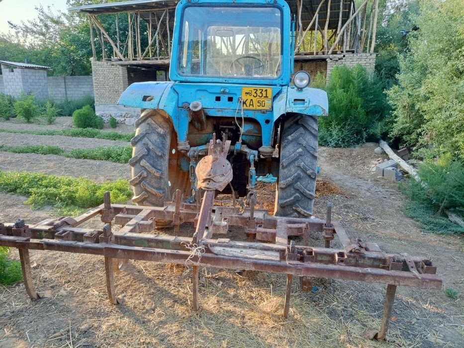 Belarus 80 sotiladi