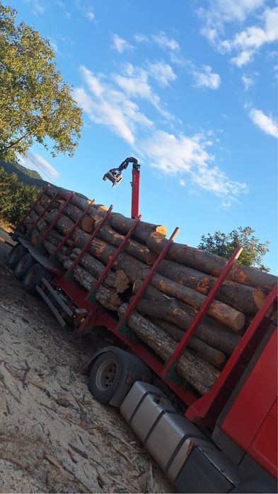 Lemn de foc fag de vanzare