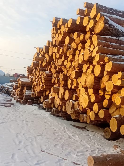 Кругляк низкие цены