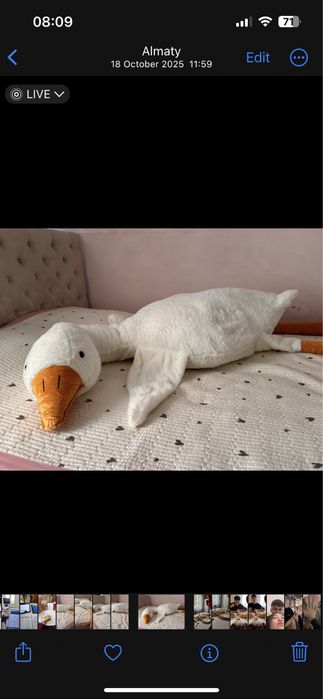 гусь обнимусь 250см