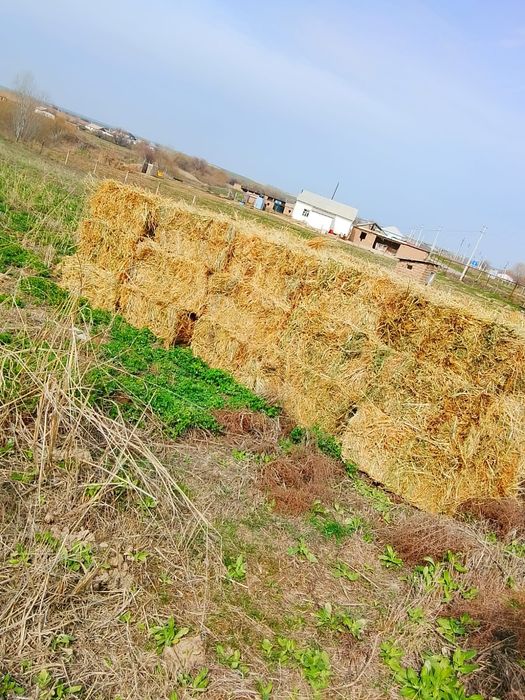 Шөп пресс сатылады Жоңышқа мен аралас орылған