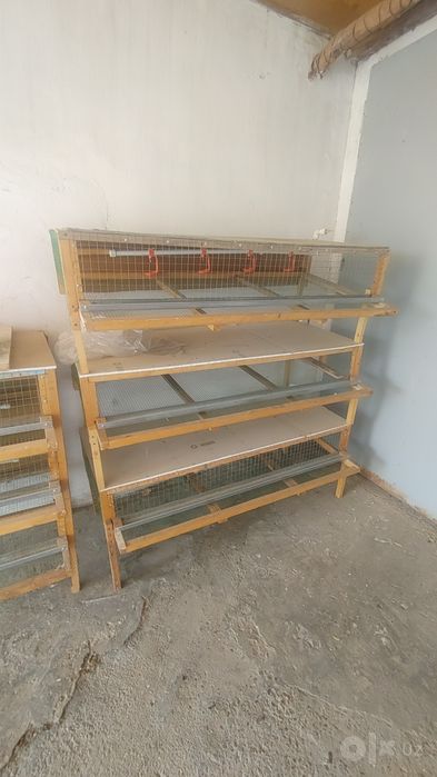 Bedana  kataklar sotiladi