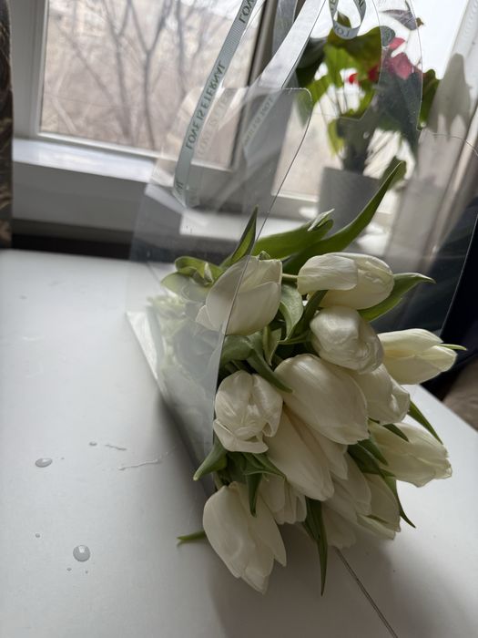 Продам  Тюльпаны