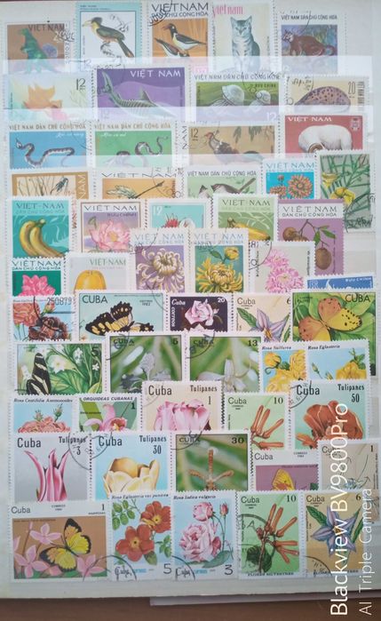 Албум с колекции от пощенски марки