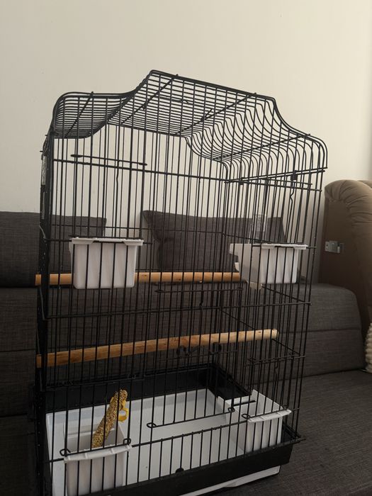 Попугай с клеткой