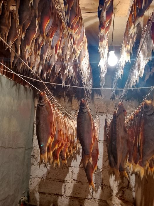 Атырауский Рыбец, Вобла сушёная,малосольная