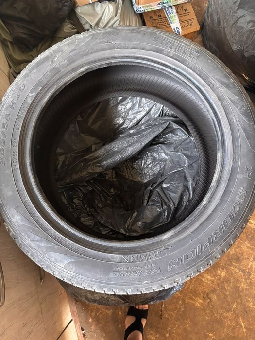 Летние Шины Pirelli