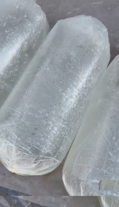 Личинка амур толстолоб