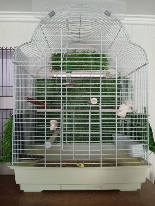 Клетки разные для птиц.