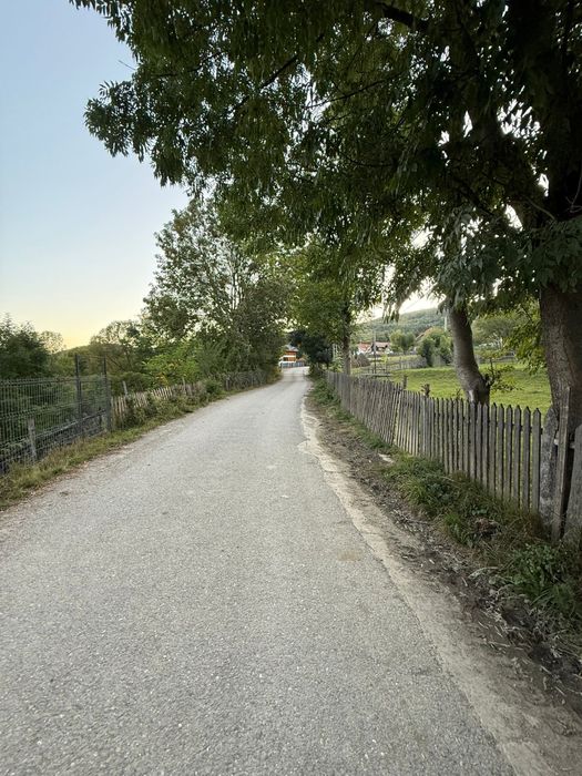 Teren de vanzare Valea Doftanei