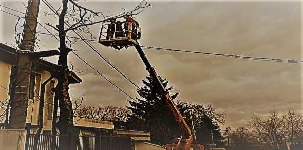 Подрязване на овощни дървета