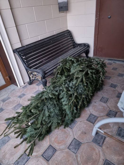 Ёлка новогодняя