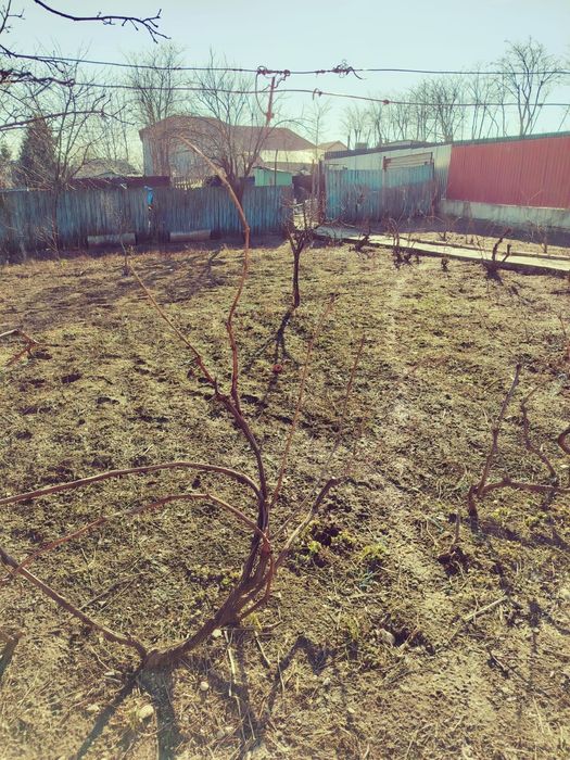 Vănd casă în comuna Schela Jud Galați