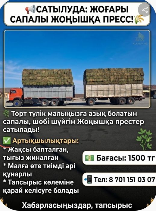 Жоңышқа пресс бар
