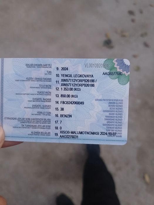 Damas. 2024 zur holatda