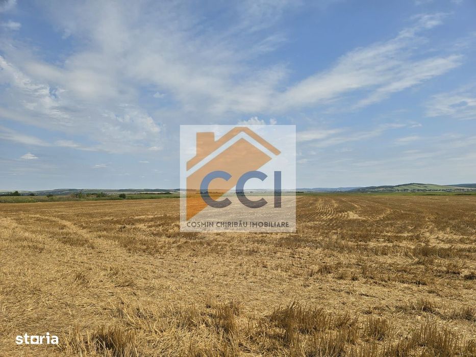 Teren intravilan– 50.000 mp, Bacău, Șoseaua Hol