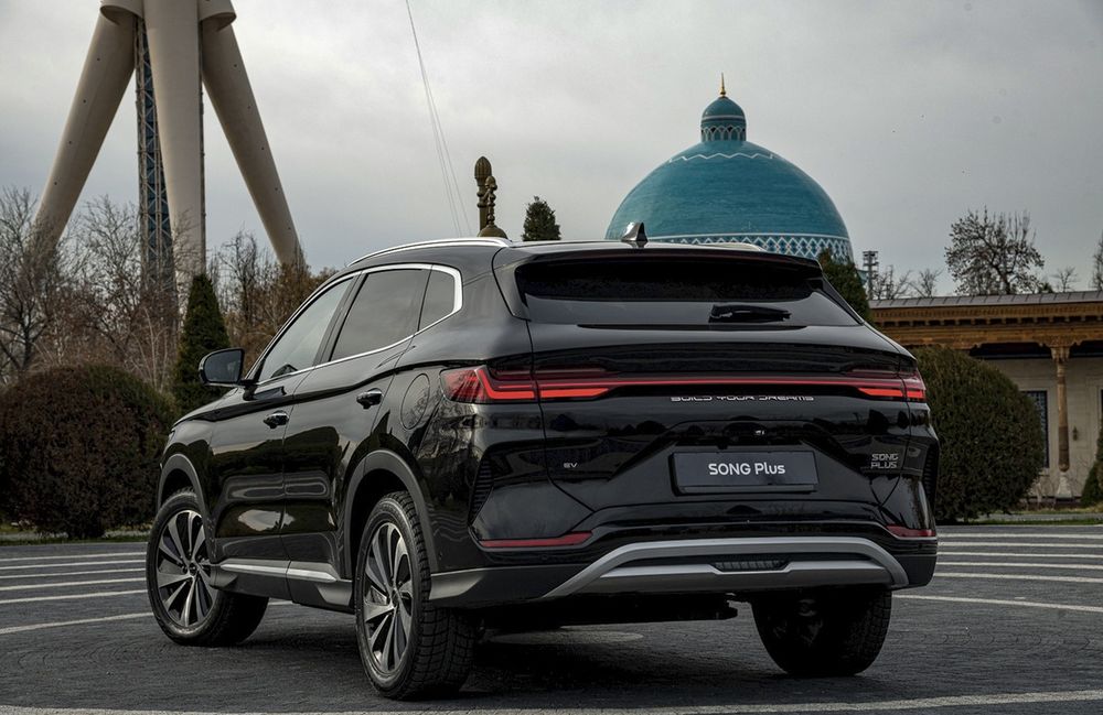 Byd chempion gibrid 2024